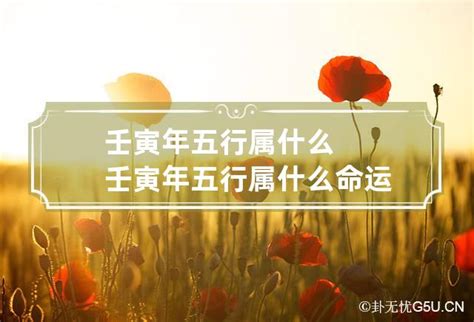 壬寅年五行|壬寅年五行属什么